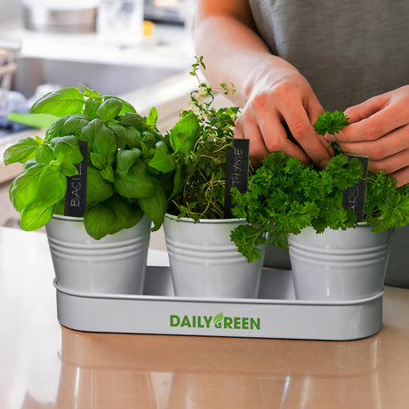 Keepsake Herb Planter - Feature