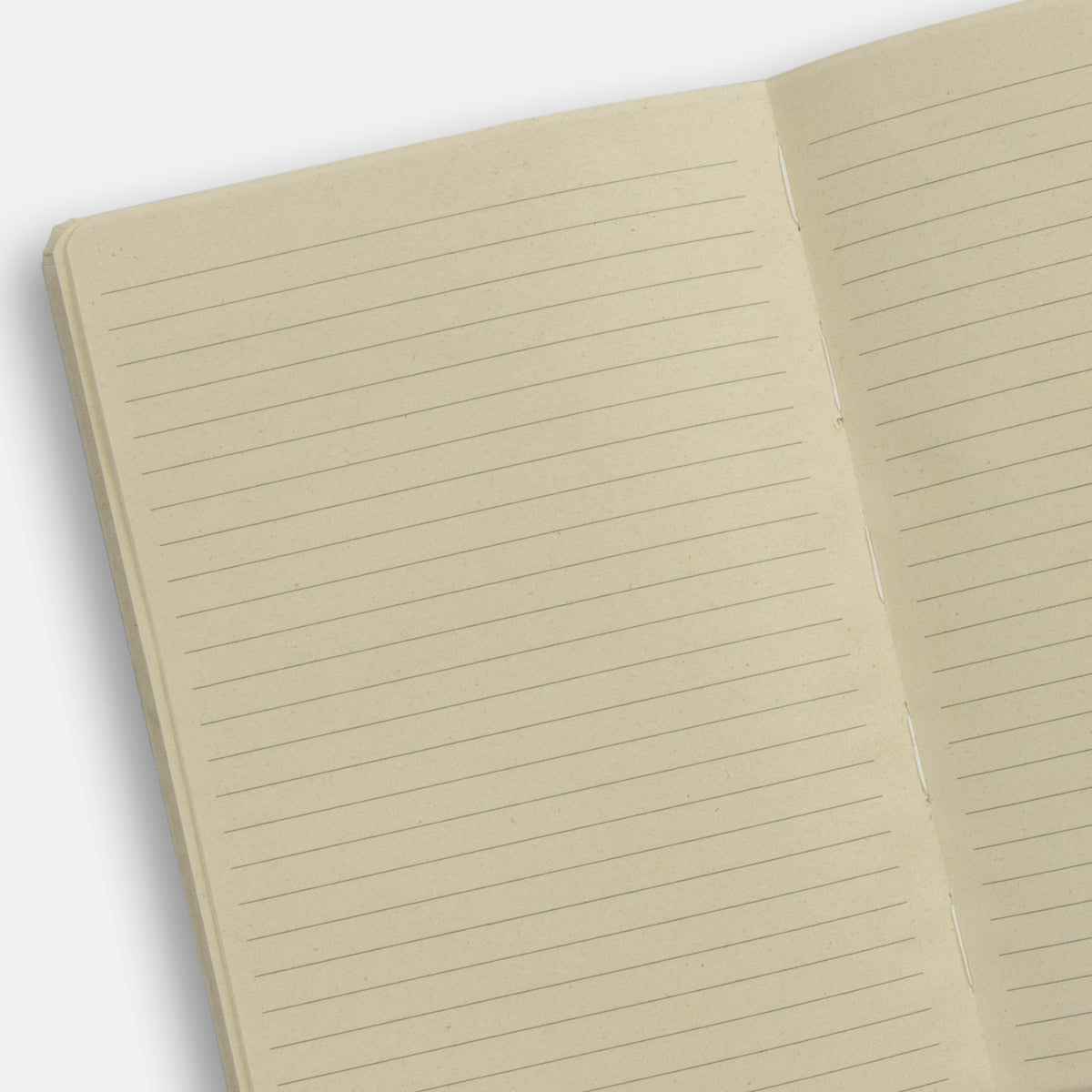 Paulo Sugarcane Notebook - Detail