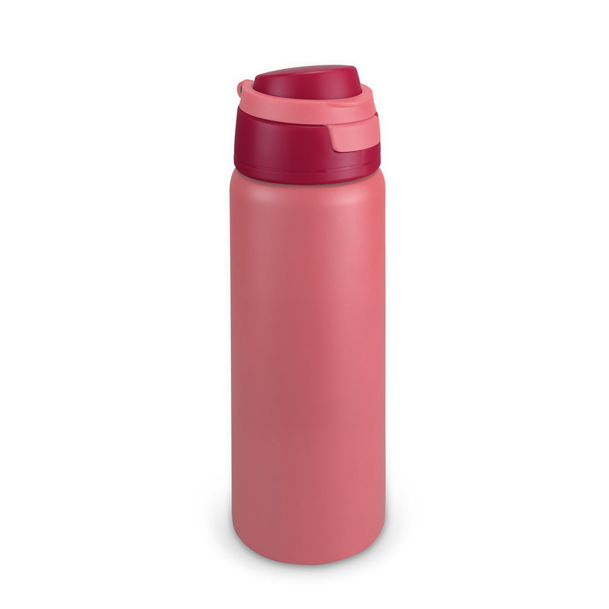 Spyro Vacuum Bottle - Pink