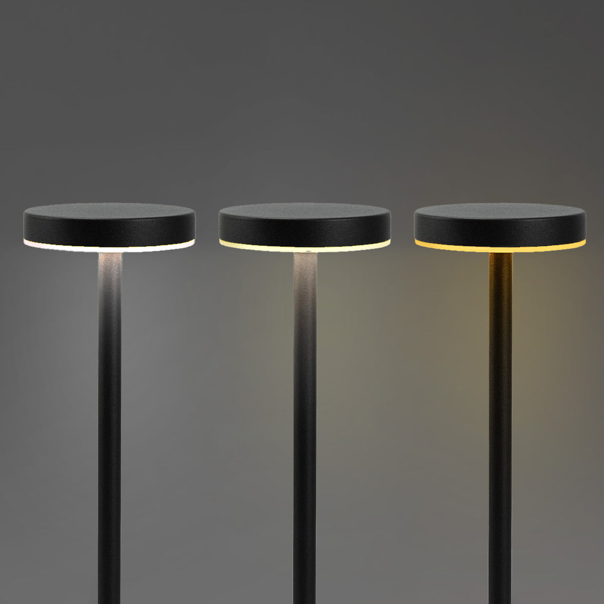 Nouveau Rechargeable Table Lamp - Detail