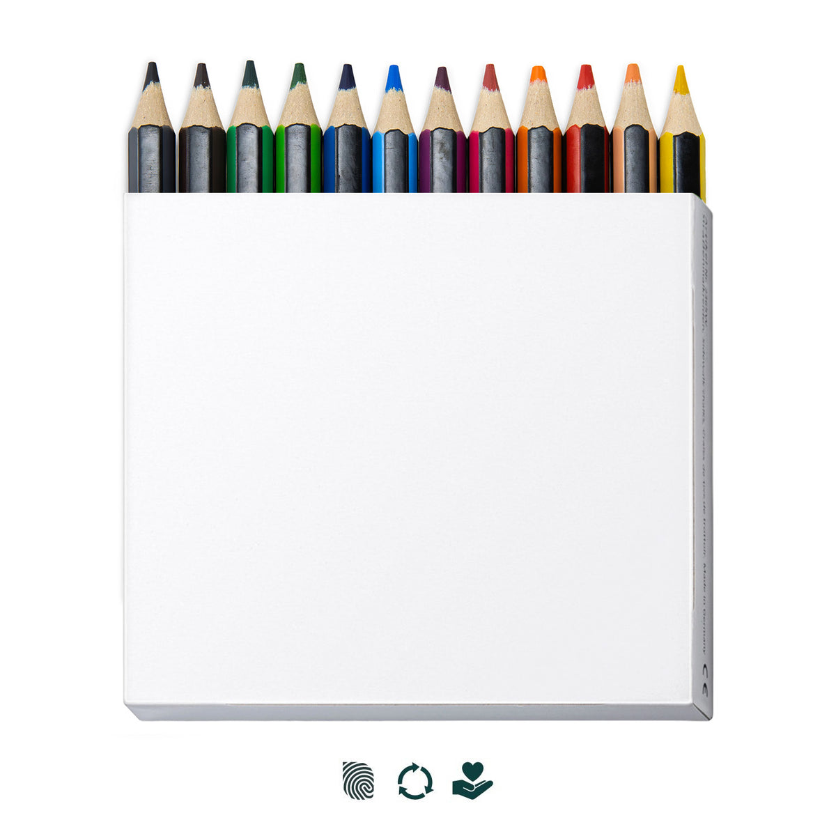 STAEDTLER Colouring Pencil Set of 12 - Impact Aware