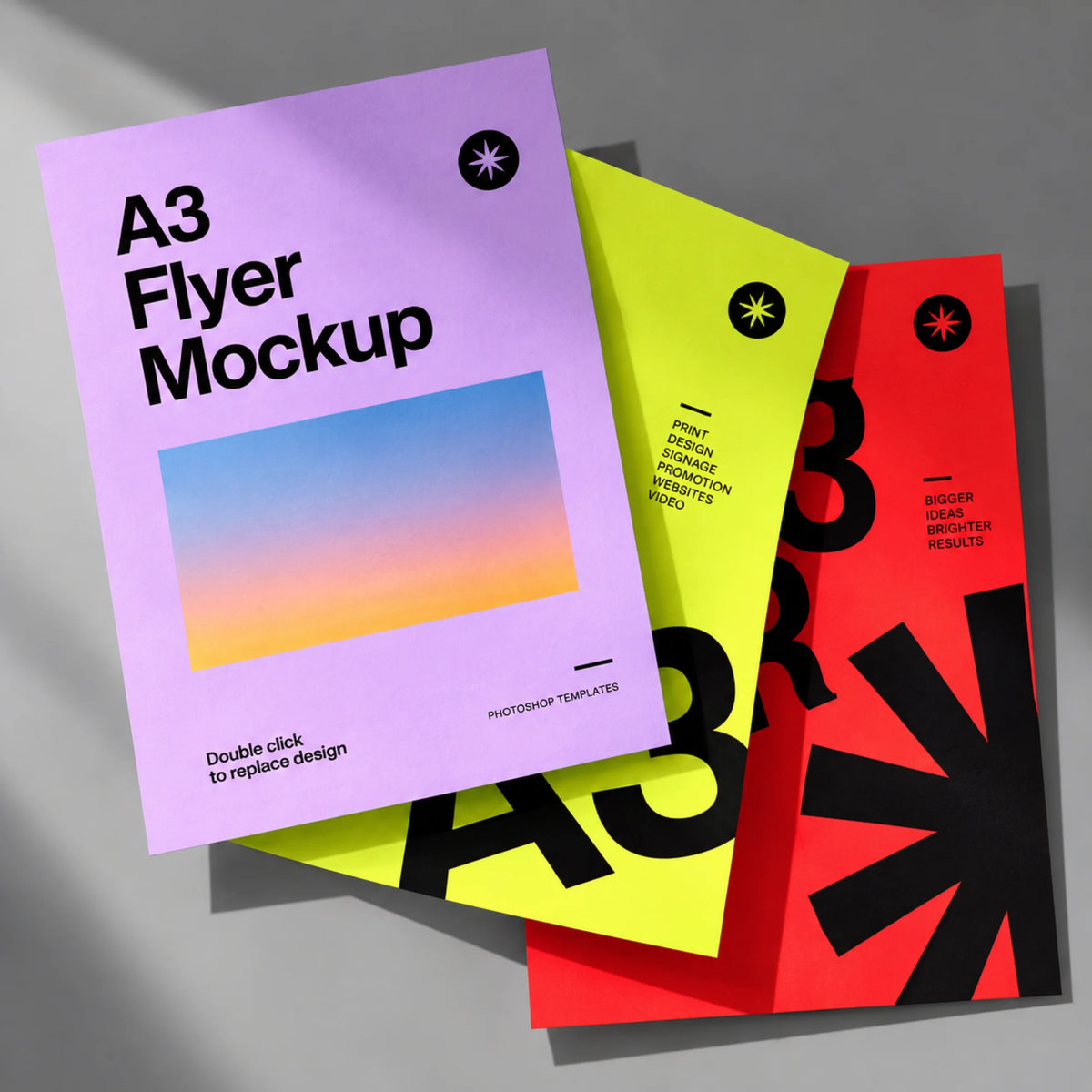 A3 Flyer