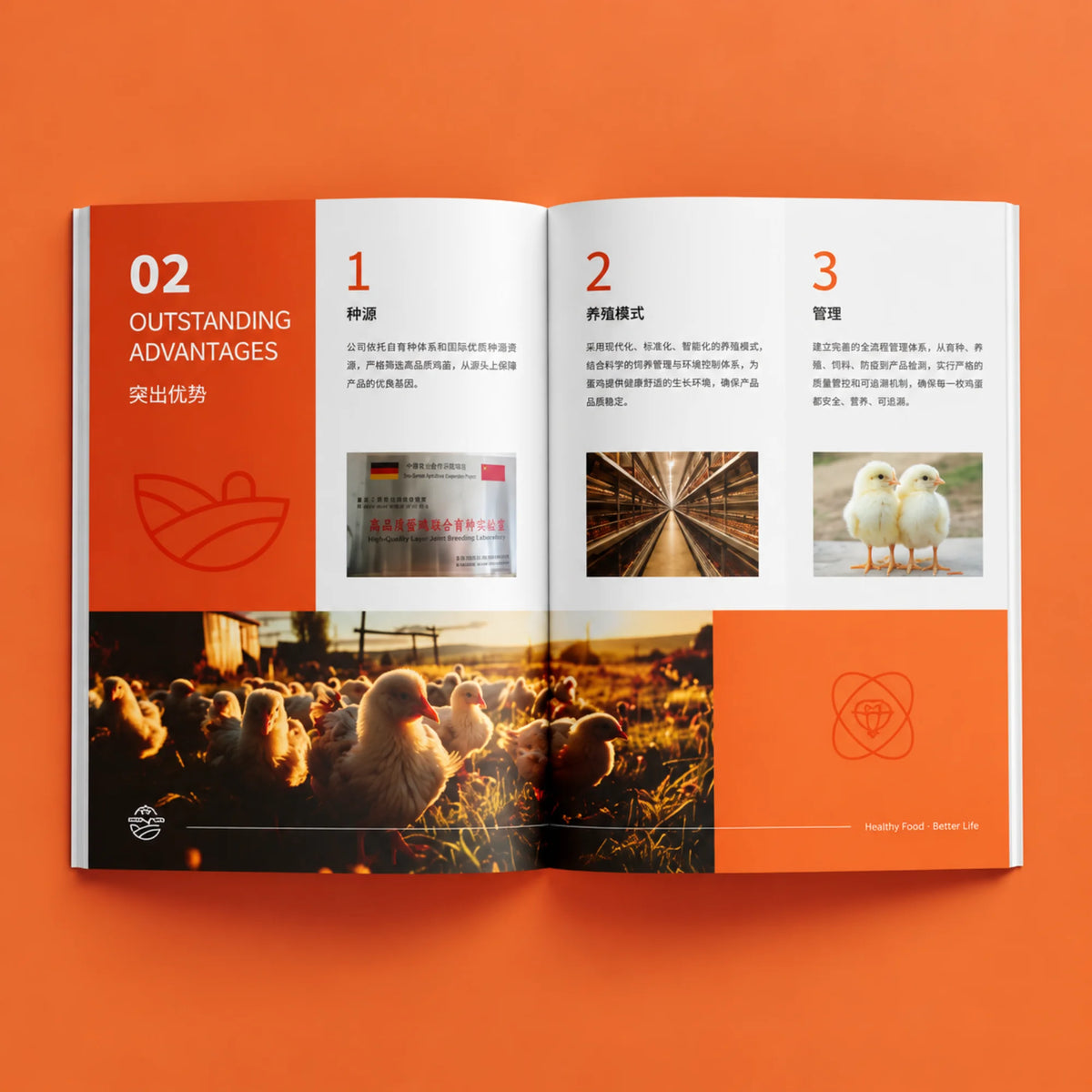 A4 stapled booklet with separate cover — product image 7