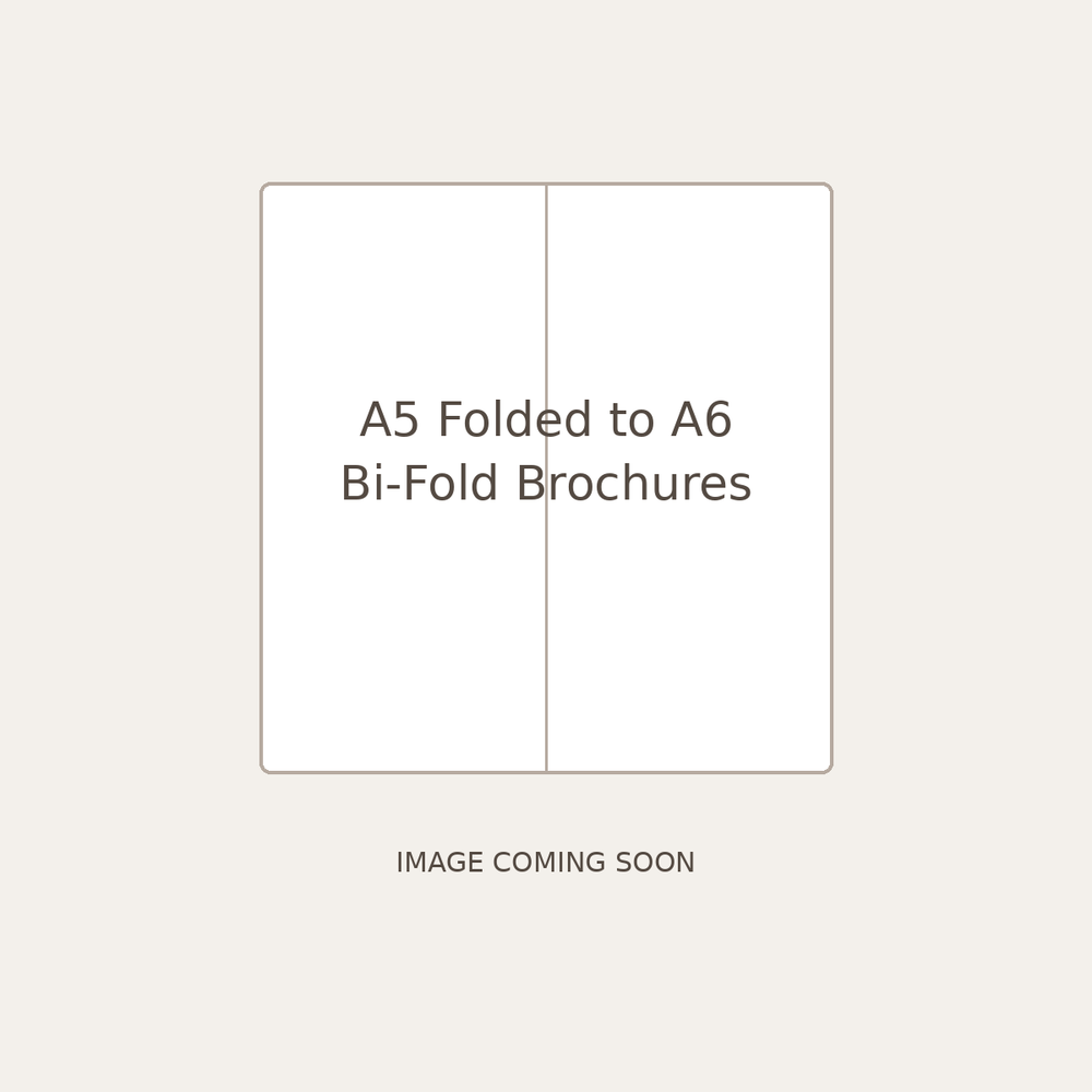 Temporary placeholder — A5 folded to A6 bi-fold brochures; product image coming soon