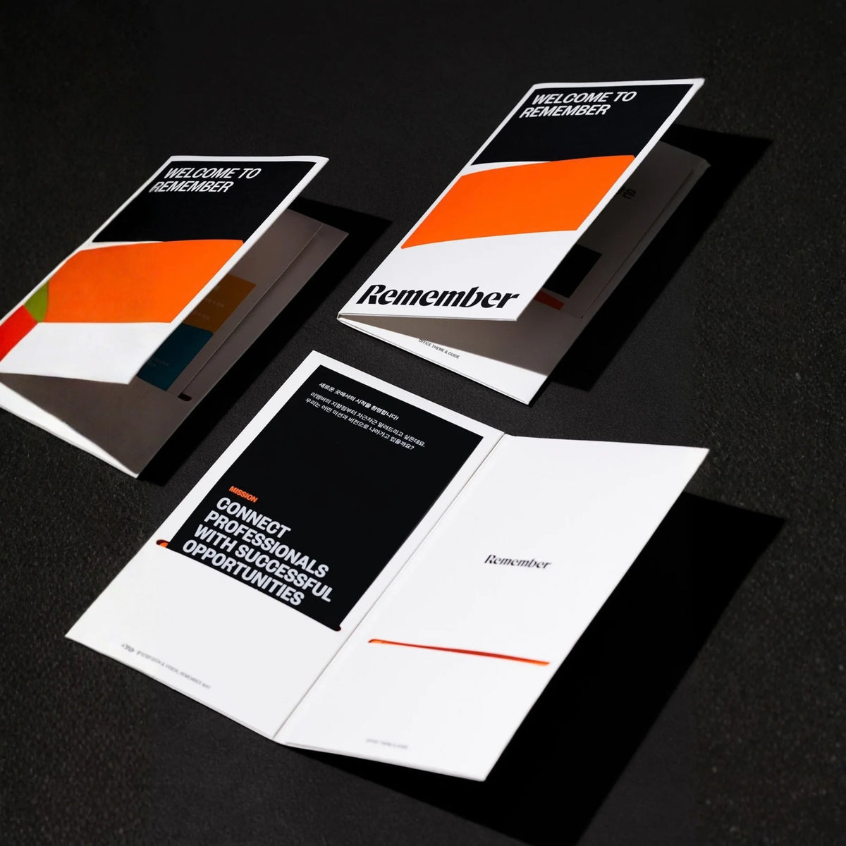 A4 Folded to DL Tri-Fold Brochures product view 21.webp